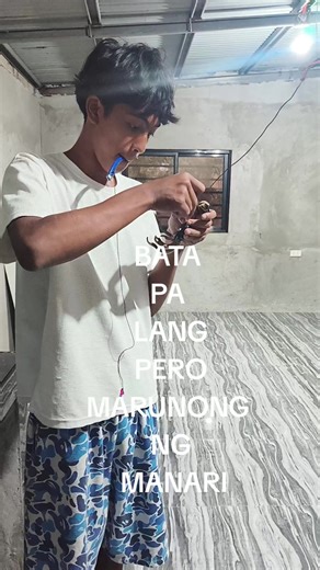 Mastering Tari Techniques for Backyard Chickens