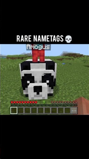 Minecraft Rare Nametags