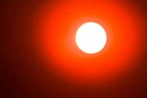 Sunbathing in the Summer