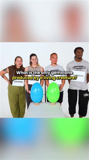 Cousins vs. Teammates Egg Crackdown: The Ultimate Trivia Challenge