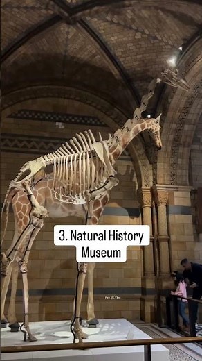 7 must-see free museums in London 🇬🇧