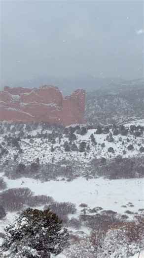 First ❄️Snowstorm of 2026 at Garden of the Gods today. #colorado #coloradosprings #gardenofthegods #winter #snow #snowstorm | Colorado Wild Adventures