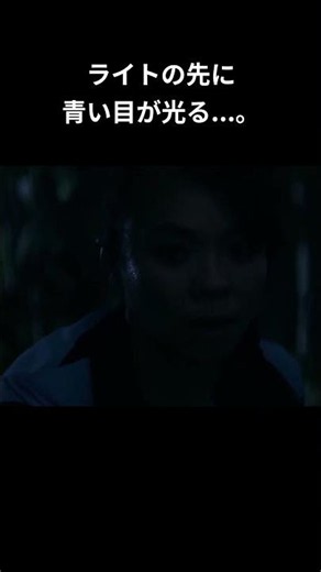 ライトの先に 青い目が光る...。