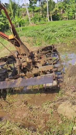 traktor sawah 696 #traktortangan #farming #sawah