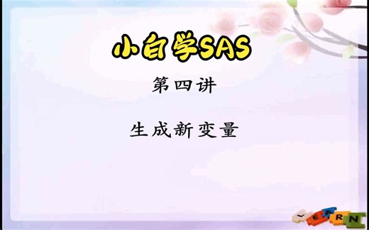 《小白学SAS》-4-生成新变量