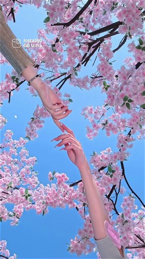 桜の木下の美しい瞬間 #insta360goultra #cherry #CherryBlossomPortrait #sakuraschoolsimulator Code:INRSGEFNGGE