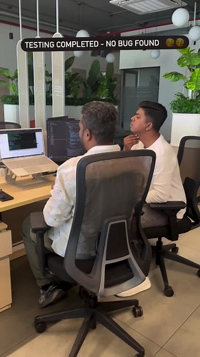 Coding Joy: Exploring Software Development Creativity