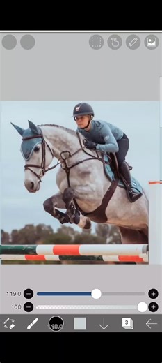 Drawing Horses on Ibis Paint X Tutorial