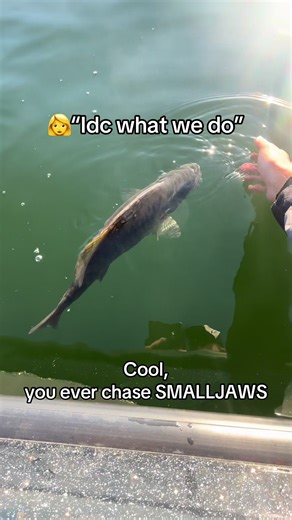 Chasing Smalljaw Fish: Tips and Techniques