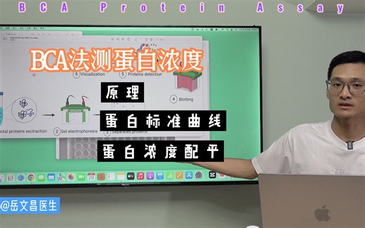 详细版｜BCA法测蛋白浓度、绘制蛋白标准曲线、配平蛋白浓度