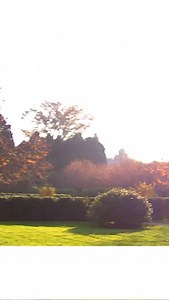 266K views · 8.7K reactions | Thanksgiving is one of my favorite holidays and coming up with a festive table setting is one of the best parts! I set the table and choose all the serving dishes the day before (that’s today!). I like solid colors for plates and platters — patterns don’t make food look as good. Here are three simple ways to make your holiday table feel warm, festive, and effortless. I hope you have a delicious Thanksgiving! | Ina Garten | Facebook