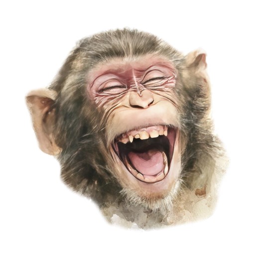 3x Funny Monkey Car Stickers (9 X 9 Cm) Waterproof for Helmet & Laptop | Comic Monkey Face Stickers | Funny Animal Gift for Kids - Etsy