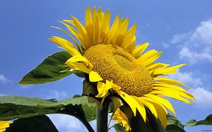 cnc数控编程入门自学视频教程全集-标清