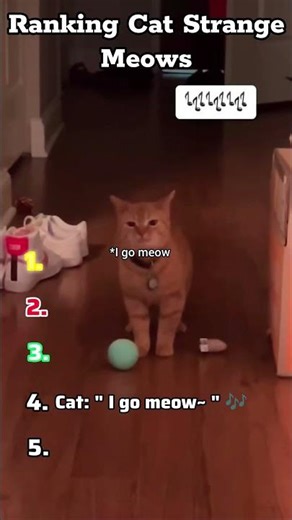 😼🔊 Ranking Cats’ Strange Meows | Weird Sound Levels