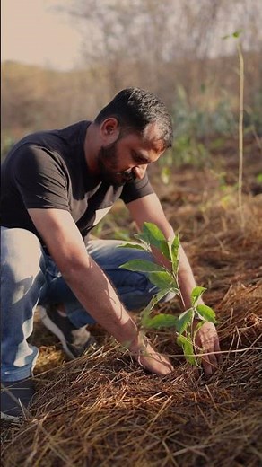 Planting the Future | Miyawaki Forest Initiative at Smritivan