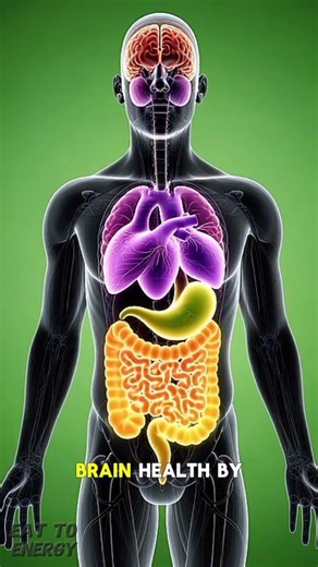 Pear Benefits for Brain, Muscles & Digestion | Natural Fiber Fruit #facts #health #shorts #pear