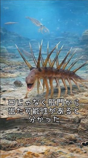 【ずんだもん】ハルキゲニア 【ゆっくり解説】 #雑学 #一分でわかる #雑学ショート #動物 #動物雑学 #ずんだもん #古代生物 #生物学 #考古学
