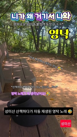 니가 왜 거기서 나와~산책하다가 귓가에 영탁 노래가 맴도는 이유 #영탁 #니가왜거기서나와 #성미산 #산책 #산책힐링 #불청객 #트로트 #shorts #상황극 #일상소통