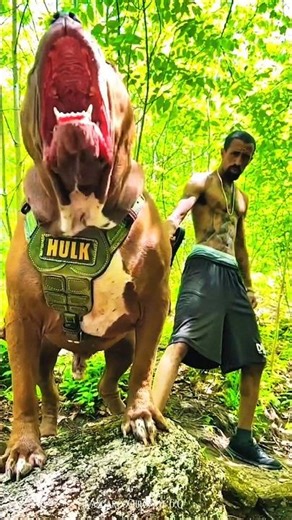 Small to Big Animals Transformation 🐾 | Amazing Growth