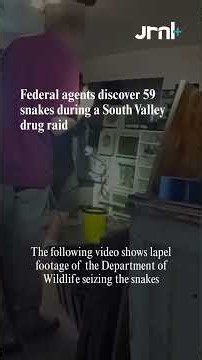 59 snakes seized during a drug raid at a South Valley home