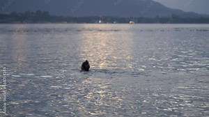 Young Beautiful Woman having a Swim in a Tropical Ocean At Sunset