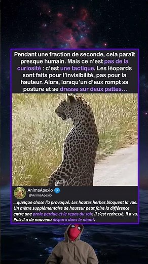 Le prédateur suprême qui a appris à se mettre debout