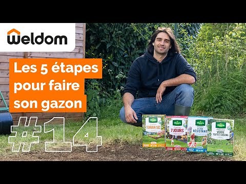 Weldom - Les étapes pour semer son gazon