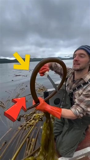 Never Ignore This Weird Ocean Object! #shorts