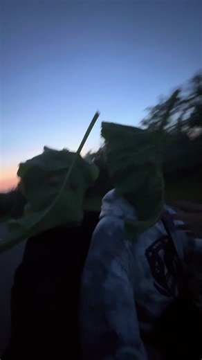 kovik_300 на TikTok