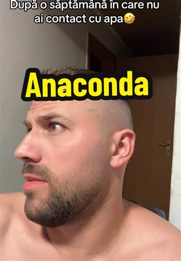 Anaconda Hair Transformation After a Week Without Water