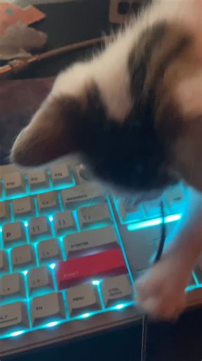 Rogurt on Instagram: "Gremlin…."