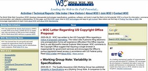 The W3C, DRM, and future of the open web