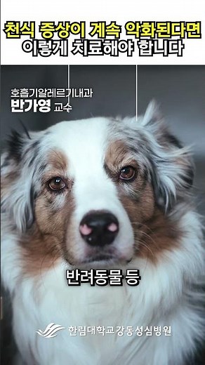 건강잔소리 | 천식 증상이 계속 악화된다면 이렇게 치료해야 합니다