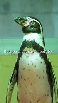 The penguin lessons | He rescued Him 🥰#foryou #shorts