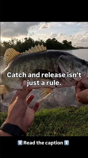 Catch and release isn’t just a rule.