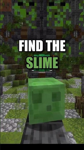 Find The SLIME in 5 Seconds! 🔍 | Minecraft