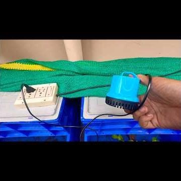 Guppy Tub Cleaning 🐠💧 | Easy & Simple Water Change Method