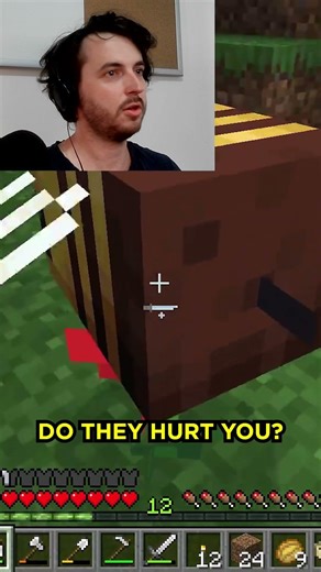 MINECRAFT 101 - BEES