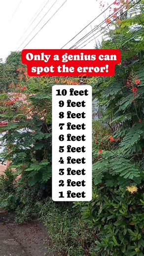 #SpotTheError #correctthemistake #identifyingerror #fyp #fypchallenge #activity #fblifestyle #learnengideas | Learning Ideas