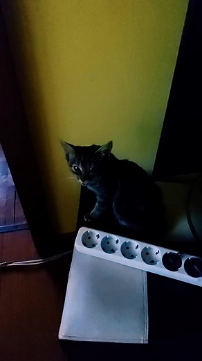 Victor tirnovan pe TikTok