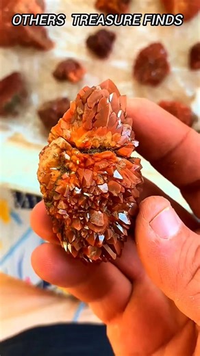 Last One Treasure Find 💀 #shorts #shortsfeed #skull #trollface