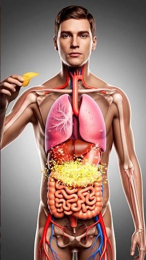 The Science of Salty Snacks: Visualizing Oil Separation, Salt, and Vasoconstriction