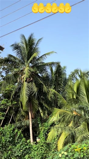 Kweku Flick Y3 🔥🔥🔥 Cover by @Kweku Flick