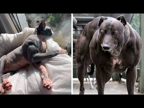 25 Cosas que no sabías hace 5 min⏰ [101]