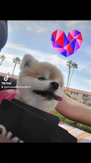 Princess Martinez (@princessmartinez2010)’s videos with original sound - Princess Martinez