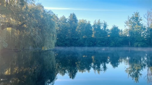 Mastervideo-7daysretreat-German