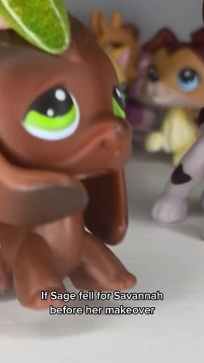 MossCollectsLPS on TikTok