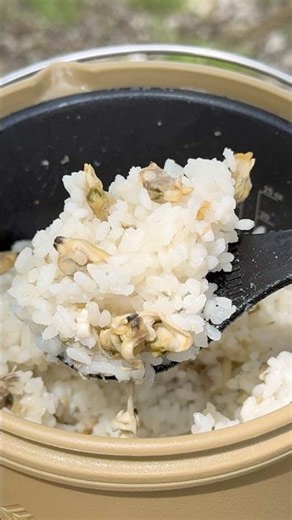 【キャンプ】電気クッカーで炊き込みごはん 材料入れてボタン押すだけ！ #キャンプ飯 #レシピ #cooker