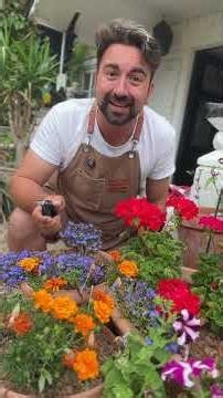 How to make your flowers last longer #gardeningtips