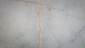 SOP on Disposal of Microbial Media in Microbiology